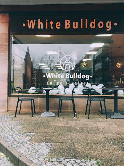 White Bulldog