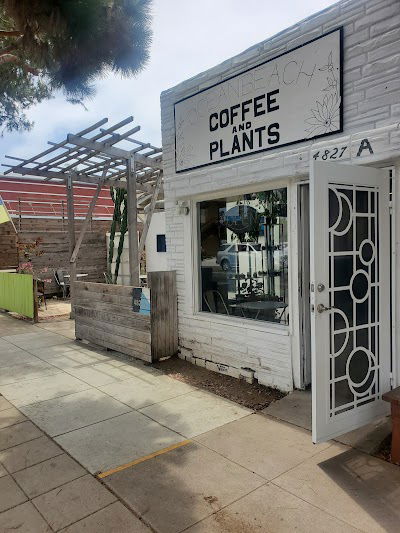 Ocean Beach Coffee and Plants